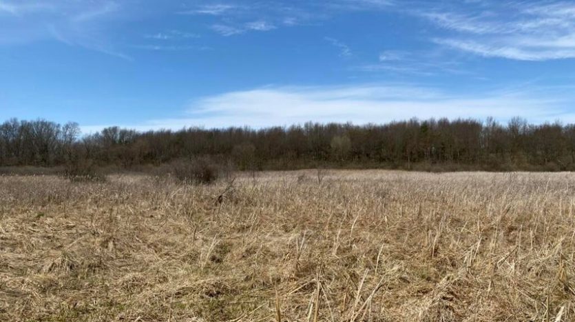 riverfront conservation easement land